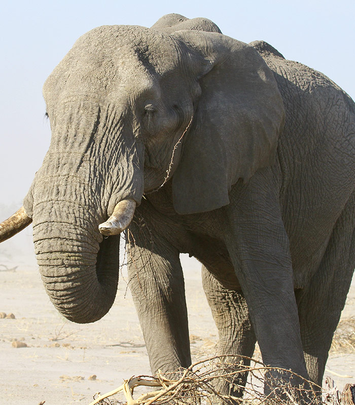 Afrika namibia bild4