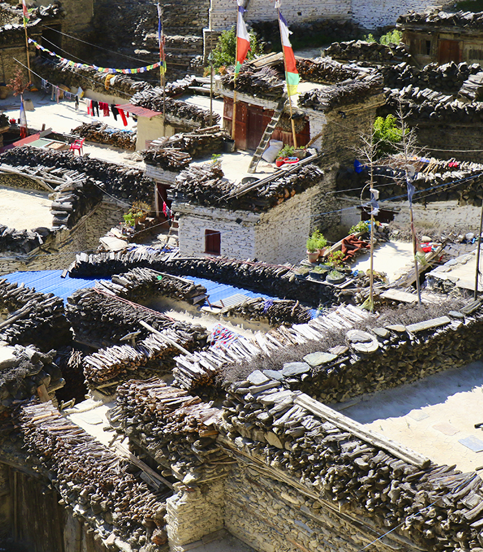 Ladakh-mustang Aktuelle Reisen bild3