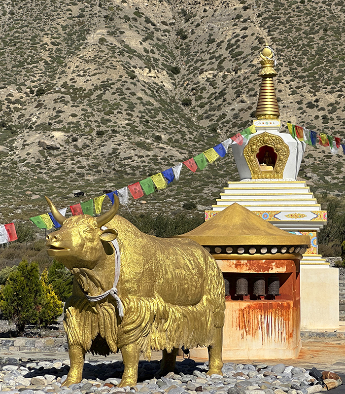 Ladakh-mustang Aktuelle Reisen bild1