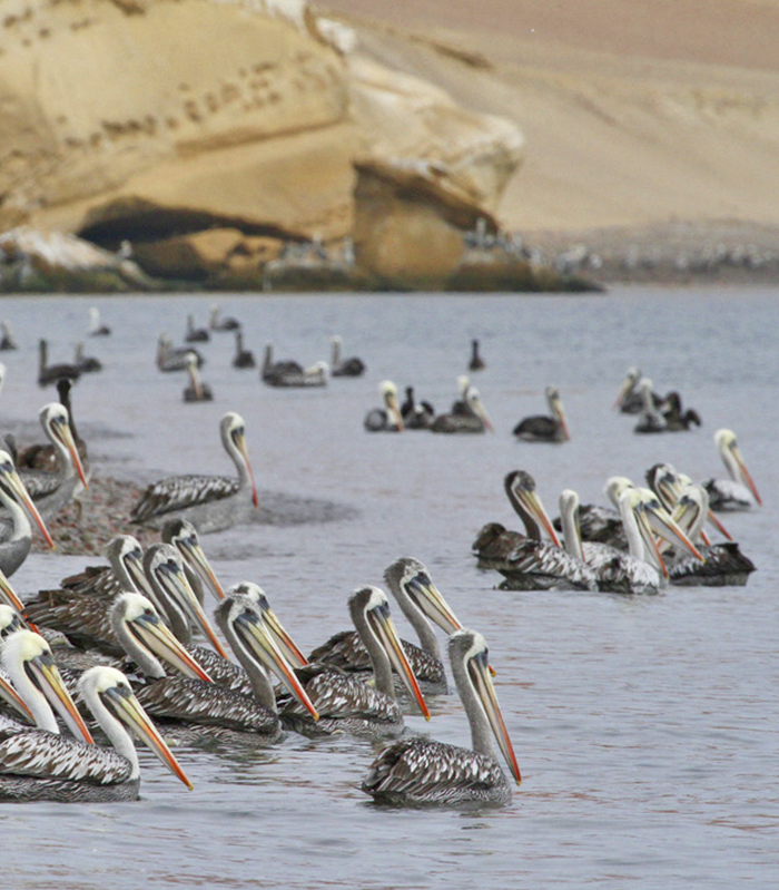 Peru Aktuelle Reisen Vorschau2027 bild2
