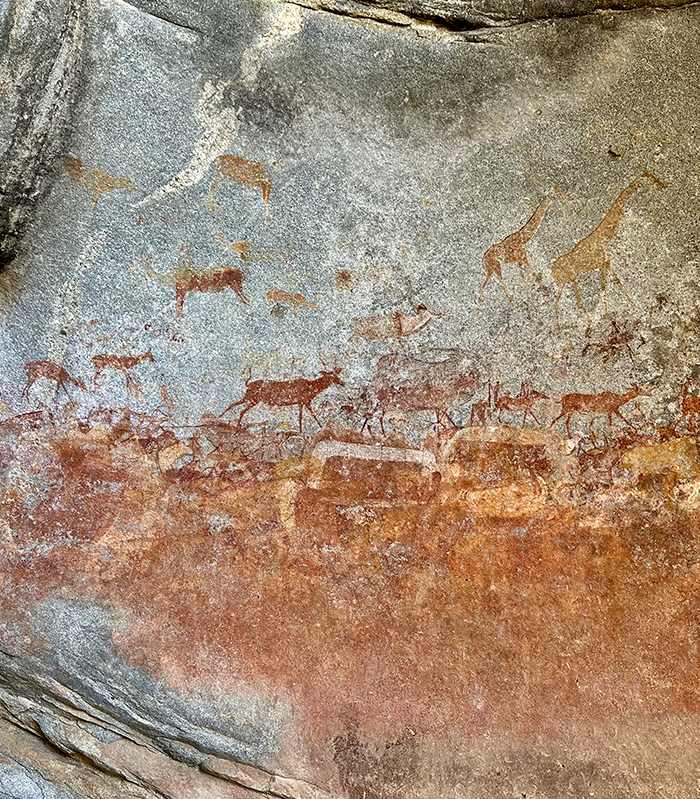 Afrika Aktuelle Reisen bild2