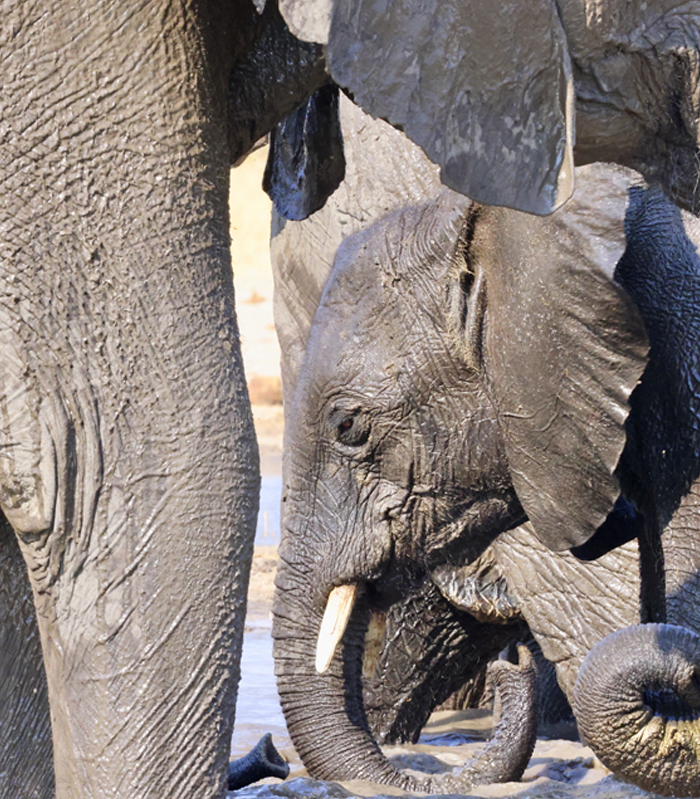 Afrika Aktuelle Reisen bild3
