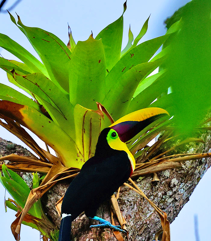 Arche Noah Expeditionen Costa Rica bild3