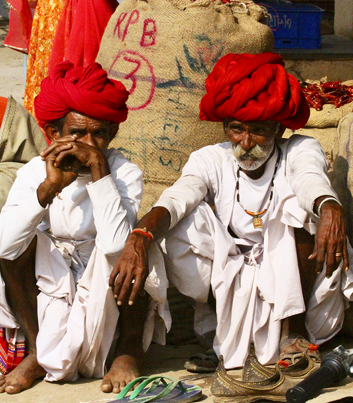 balsam-fuer-die-seele rajasthan bild2