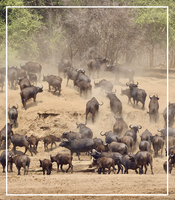 Vorschau Unbekanntes Afrika Luxusreisen Kreuzflüge Reisediwan