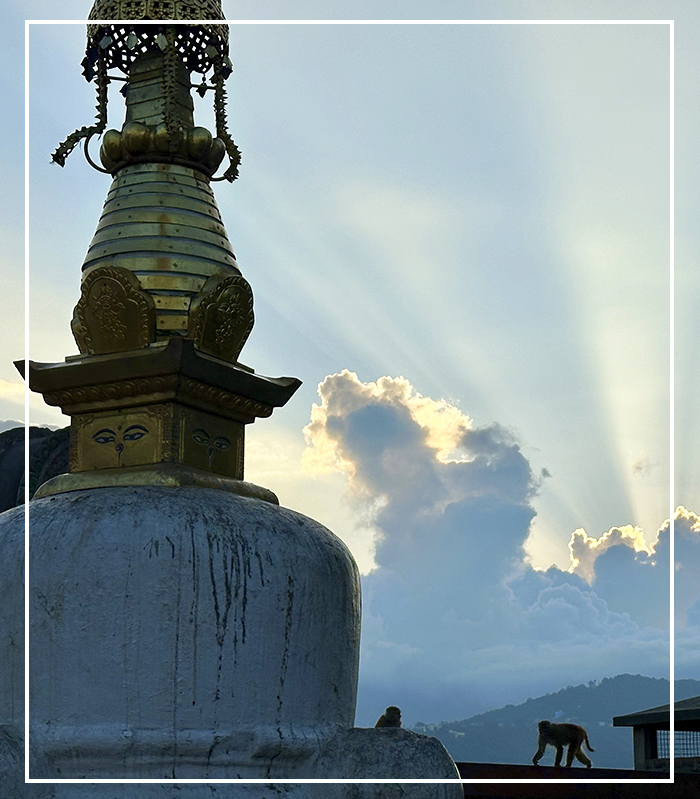 Indischer Subkontinent Reisen nepal-outline